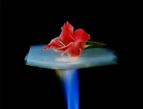 把握“十五五”节能新机遇：鼎业集团携无机阻热材料，邀工业伙伴共赴节能降碳新赛道