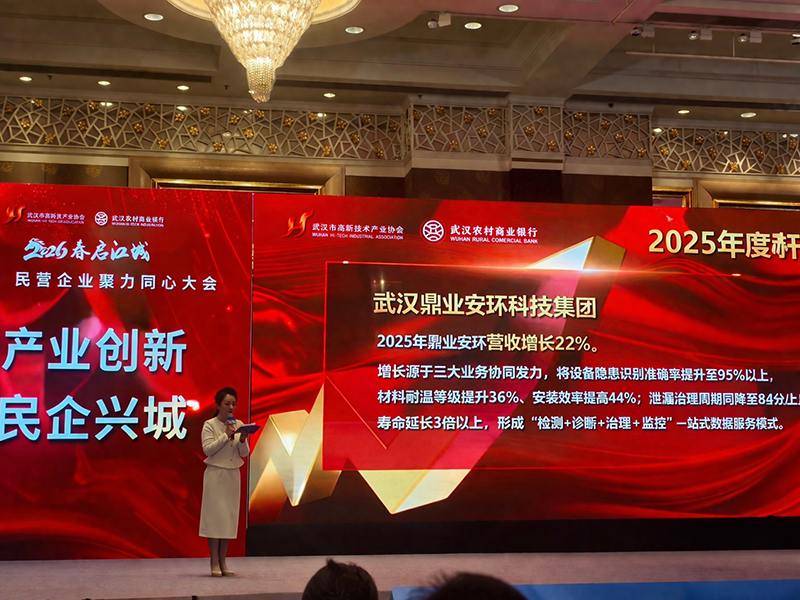 喜报！鼎业集团获评「2025年度武汉民营企业增长样本」